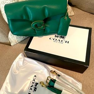 Shoulder Bag Pillow Tabby Green 26